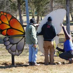 Butterfly installation 