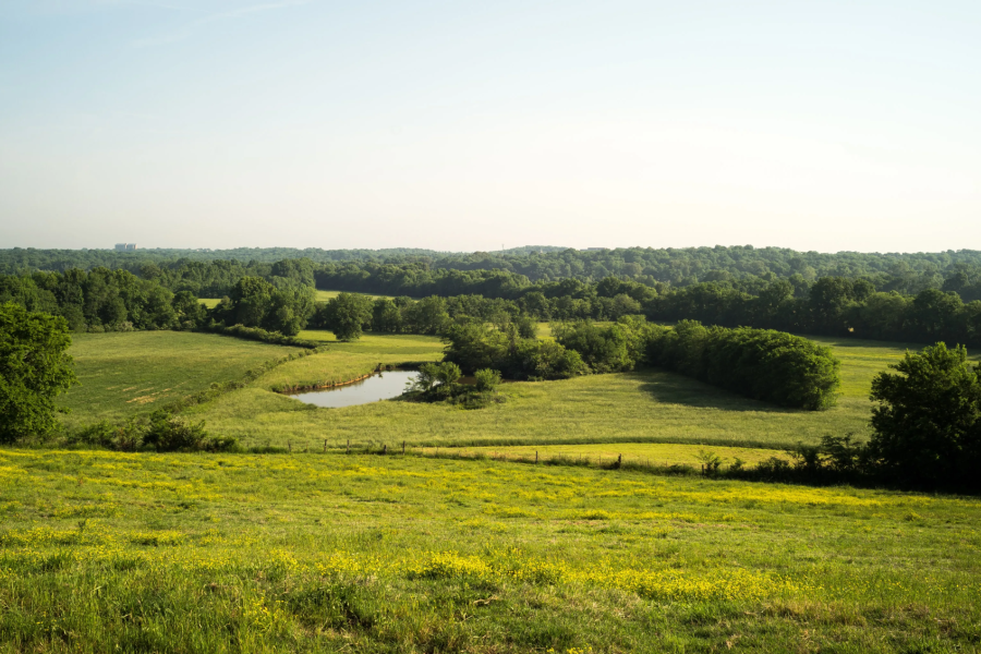 farmland