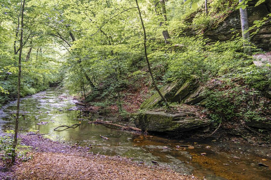 Beaman Park