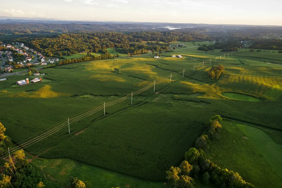 TNSDC farm field