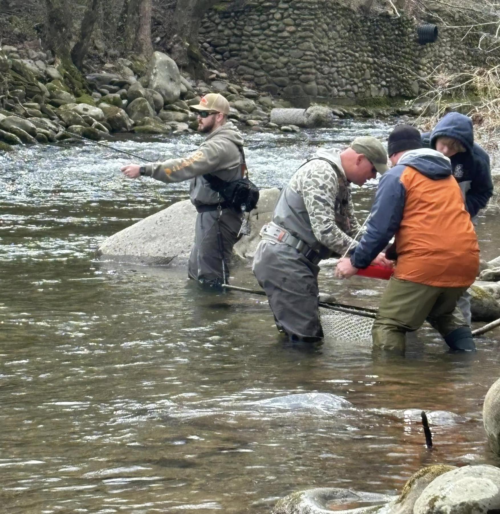 Gatlinburg fishing