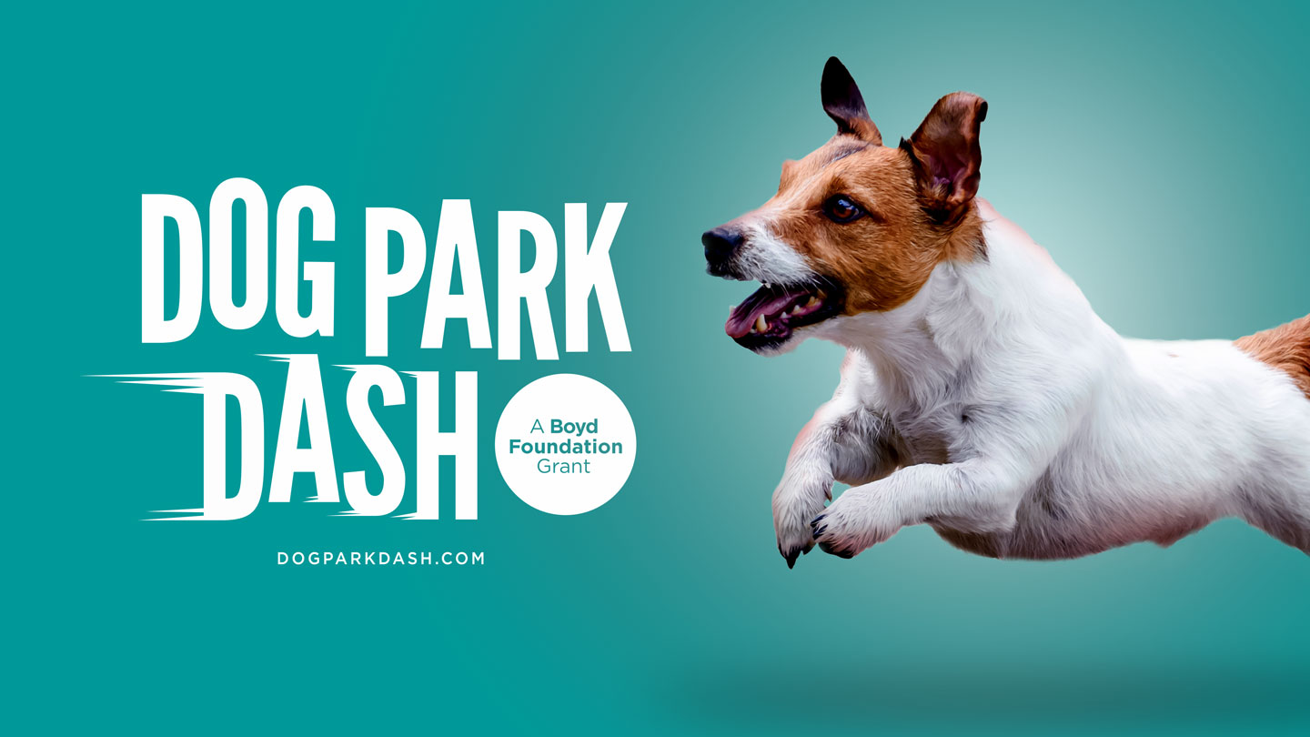 13 municipalities among winners of final Dog Park Dash grants