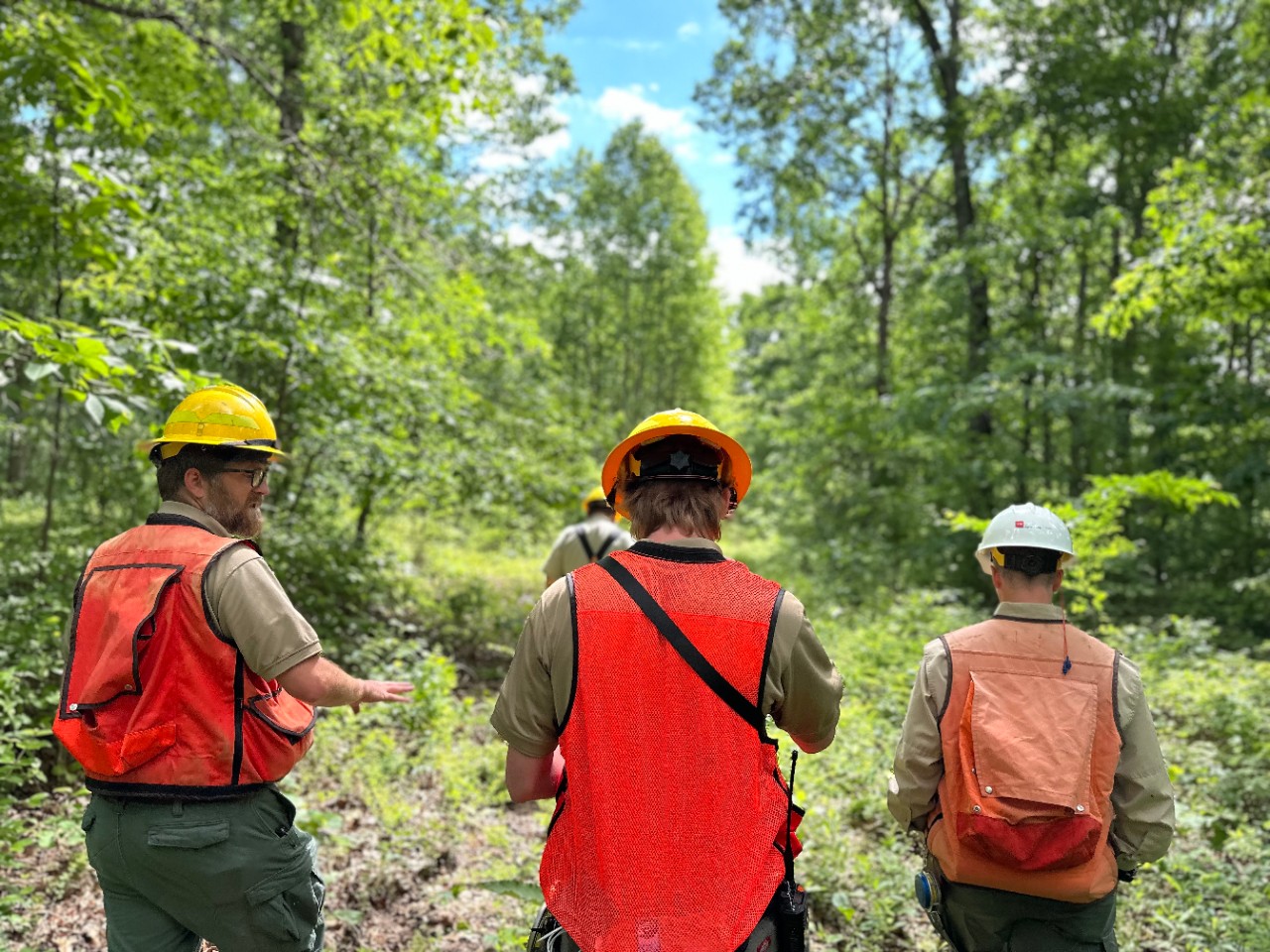 Tennessee Division of Forestry