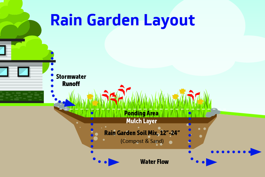 Rain Garden layout