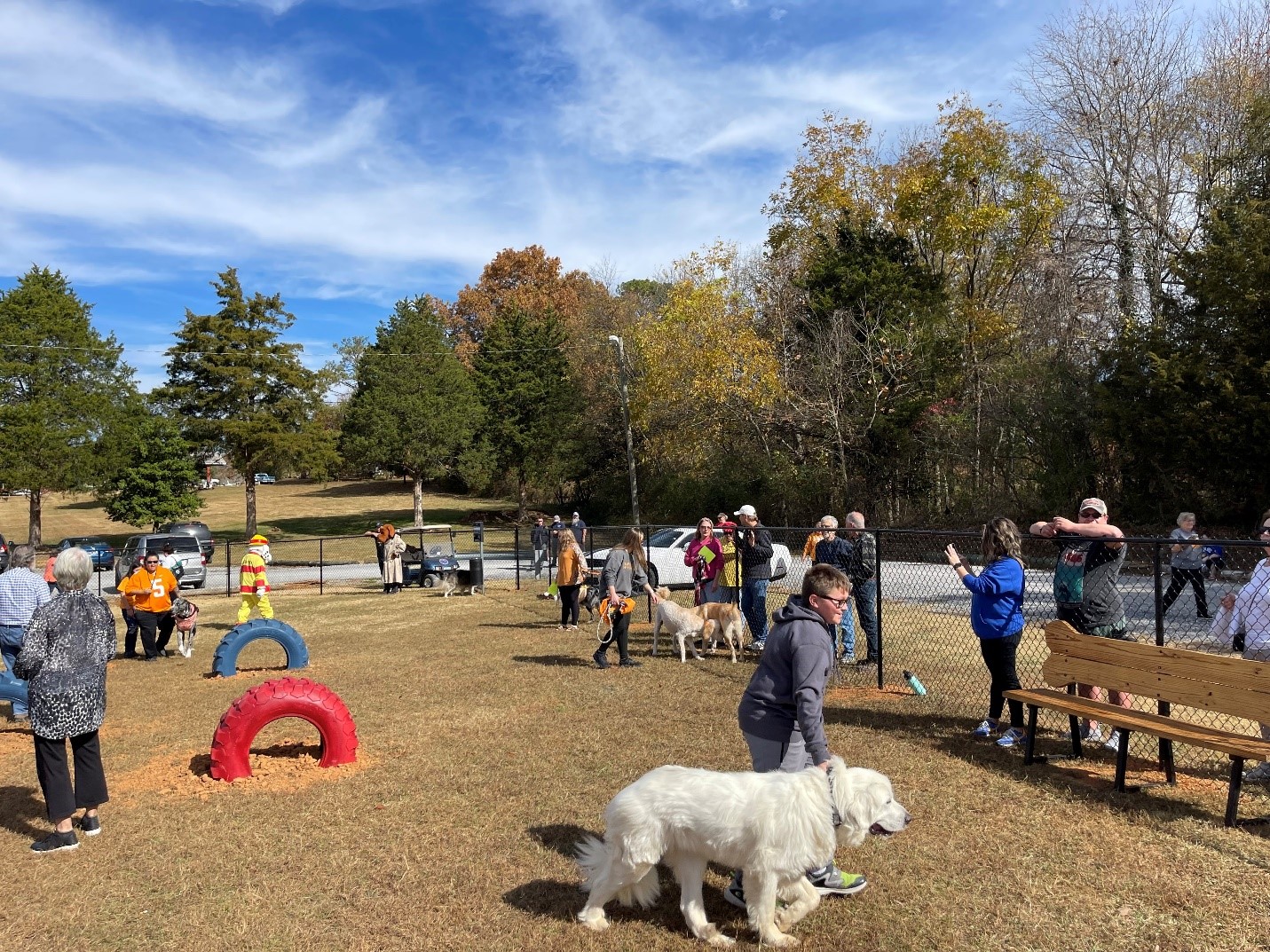 Sweetwater opens Wiggly Field Dog Park Tennessee Town & City