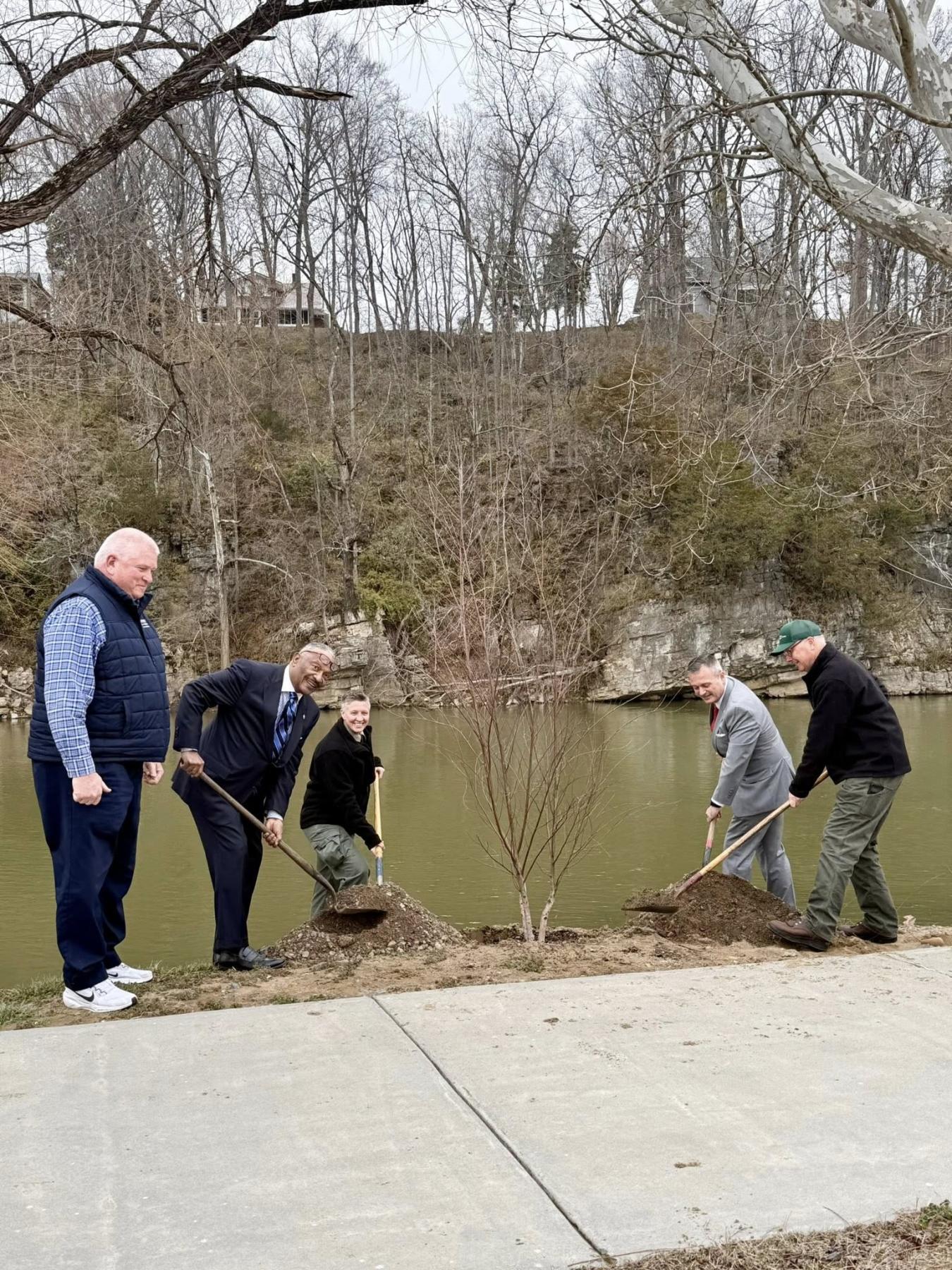 Tree planting Newport